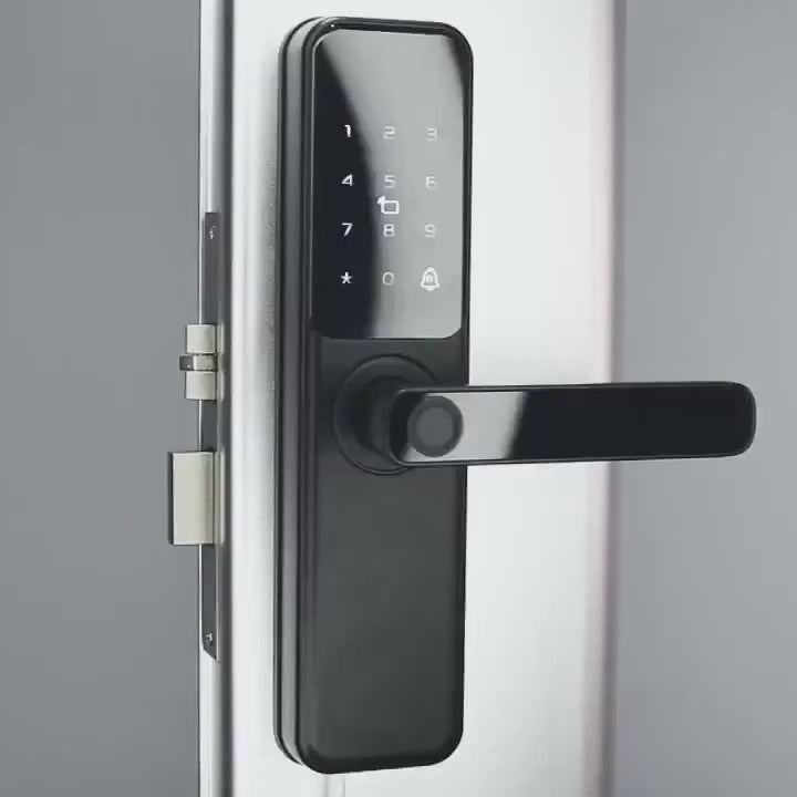 Fingerprint and code lever lock opened by TTLock app, fingerprint, password, card and key